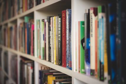 A neatly arranged row of books on a wooden shelf in a library, showcasing various titles and colourful spines.